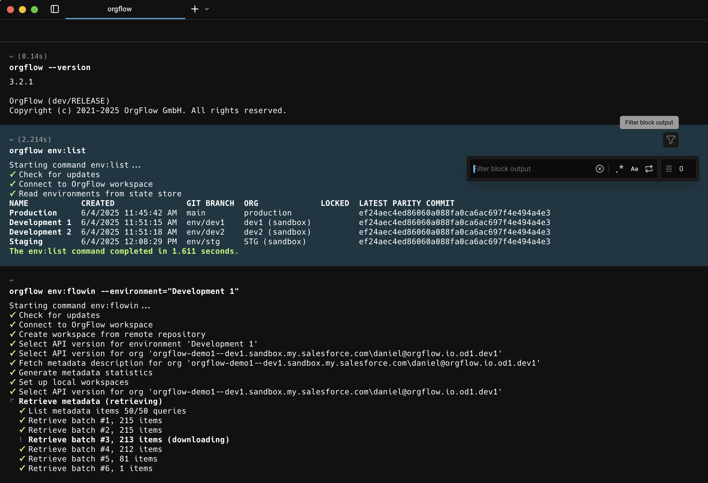 Screenshow of a terminal window showing commands executed with the OrgFlow CLI
